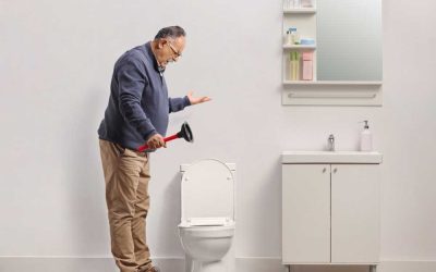 A kisállatos lakásban nagyobb az esélye a dugulásnak